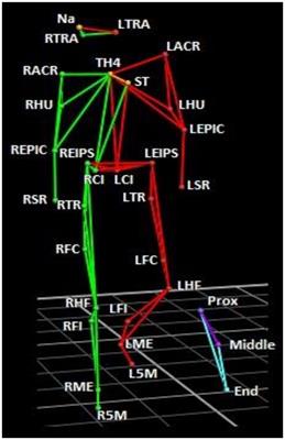 Sleep-push movement performance in elite field hockey champions with and without training specialization